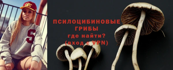 крисы Покровск