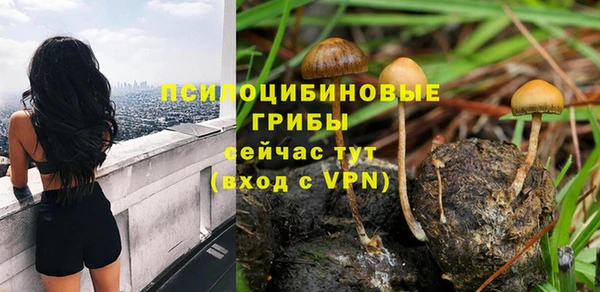 крисы Покровск