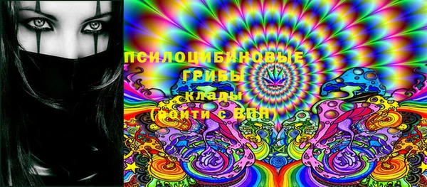 крисы Покровск
