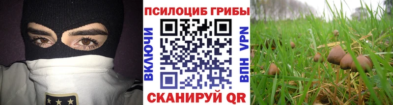 Псилоцибиновые грибы ЛСД  Хвалынск 